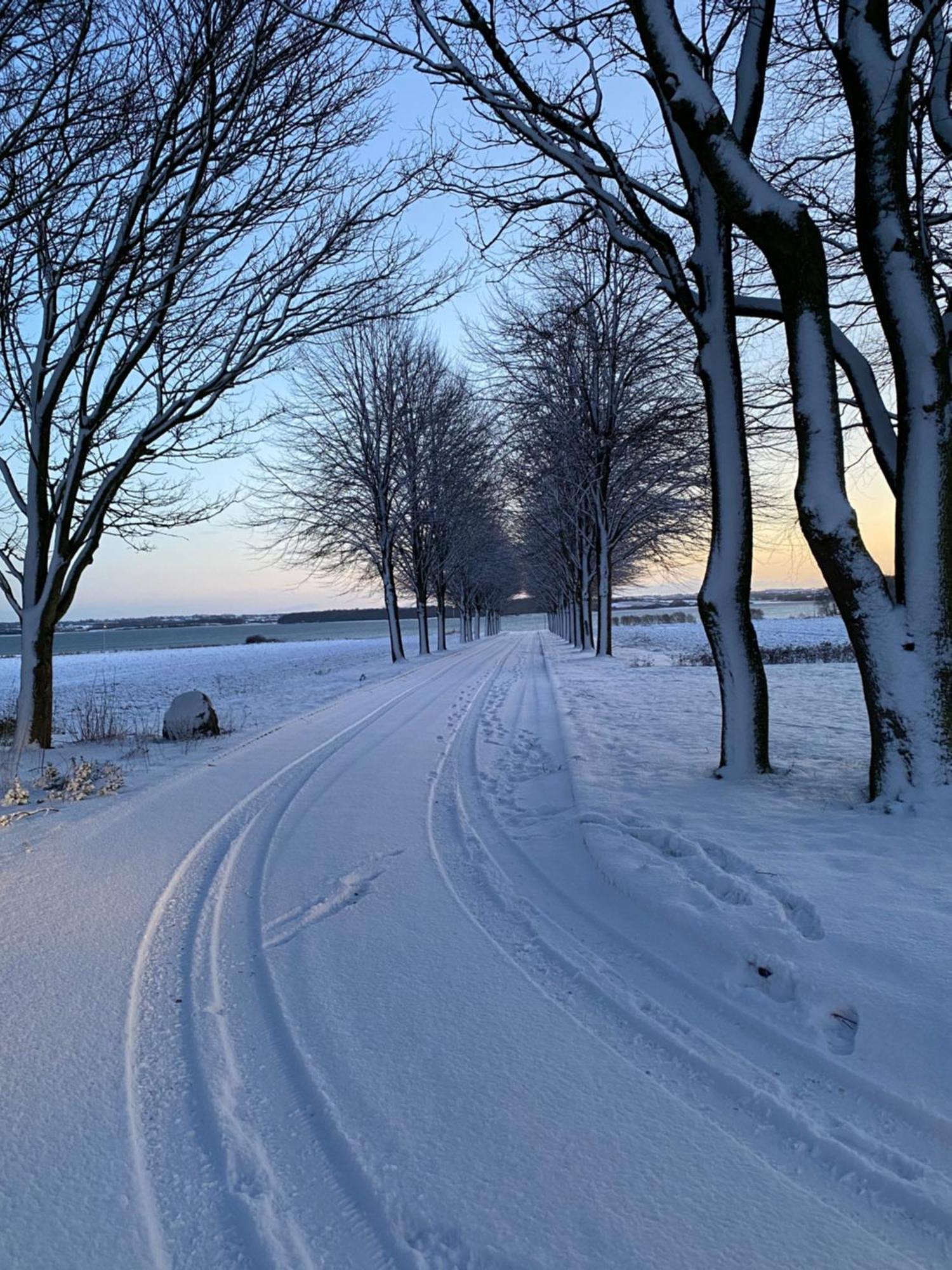 Vibaek Villa Sønderborg Екстериор снимка